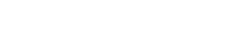 The Digital Business Architect